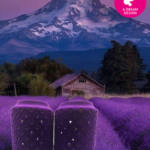 purple velvet lantern oregon met logo