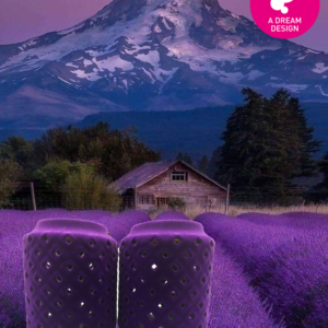 Purple Velvet Lanterns by A Dream Design