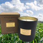 A Dream Tobacco Leaves Scented Candle Atelier Rebul