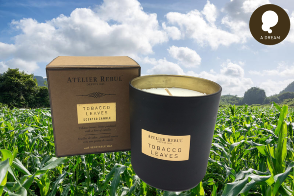 A Dream Tobacco Leaves Scented Candle Atelier Rebul